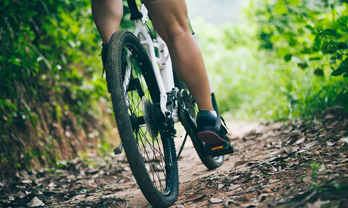 How to Ride Off-Road Like A Pro?